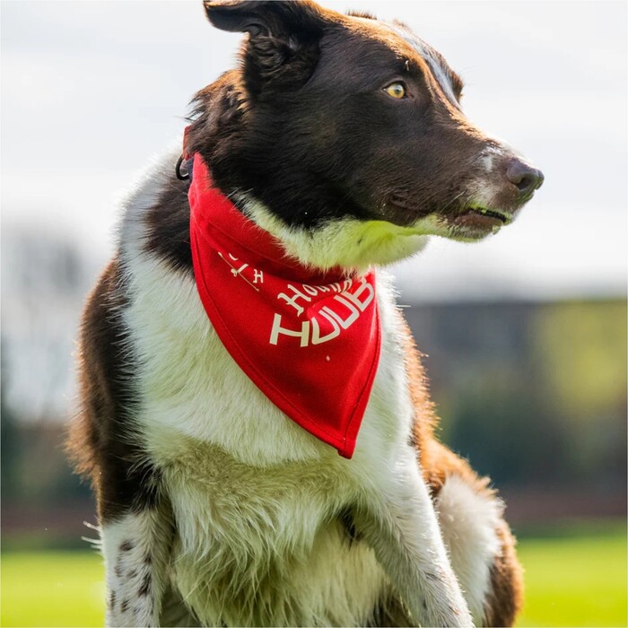 2024 Huub Pet Bandana Scarf A2-PET - Red